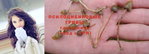 MESCALINE Нязепетровск