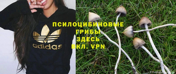 2c-b Няндома