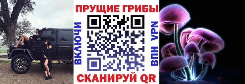Галлюциногенные грибы мухоморы кракен ONION Советская Гавань