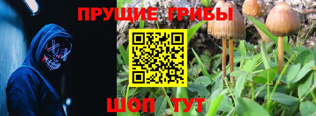 Галлюциногенные грибы Cubensis Советская Гавань