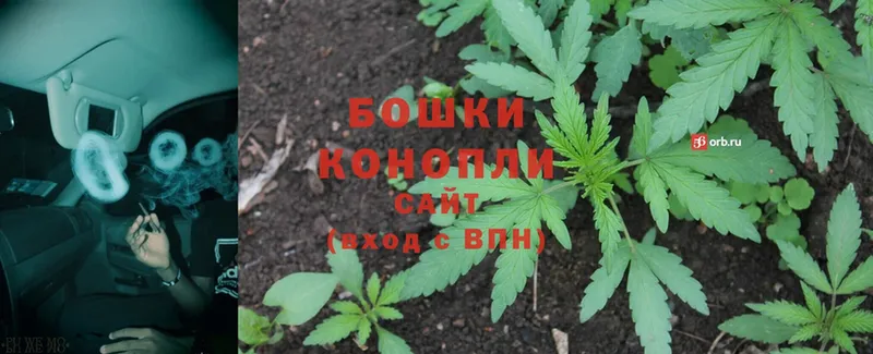 Марихуана SATIVA & INDICA  Советская Гавань 